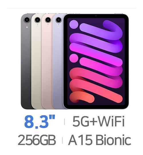 Apple 아이패드 미니 6세대 Cellular 256GB